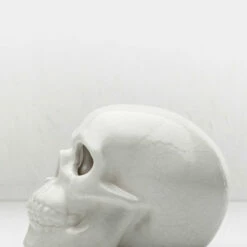 AFT1 SKULL INCENSE BURNER -Cheap Disturbia Shop AM22 SKULL INCENSE BURNER 02 800x