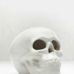 AFT1 SKULL INCENSE BURNER -Cheap Disturbia Shop AM22 SKULL INCENSE BURNER 05 800x
