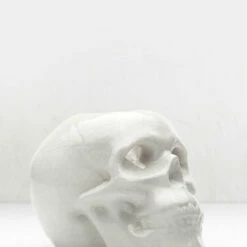 AFT1 CRYING SKULL CANDLE HOLDER 9 AFT1 CRYING SKULL CANDLE HOLDER -Cheap Disturbia Shop AM23 CRYING SKULL CANDLE HOLDER d4 800x