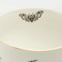 Cheap Disturbia Shop -Cheap Disturbia Shop AM52 Death Moth Cup1 800x