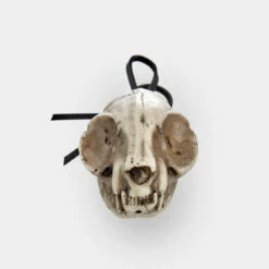 AFT1 Cat Skull Offering 12 AFT1 Cat Skull Offering -Cheap Disturbia Shop AM66 Cat Skull Offering 04 800x