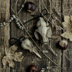 AFT1 Cat Skull Offering 9 AFT1 Cat Skull Offering -Cheap Disturbia Shop a offering 38df304d fd44 439b aec6 5088983291e6 800x