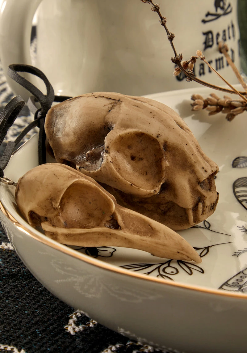 AFT1 Cat Skull Offering 7 AFT1 Cat Skull Offering - Image 7