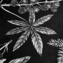 Cheap Disturbia Shop -Cheap Disturbia Shop poision single det 1 2ebb3dfc d2f0 42e6 8442 f4a8ba0b724b 800x